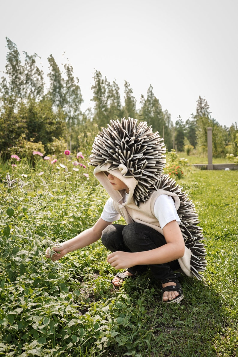 Hedgehog Vest for Kids - Hedgehog Costume - Handmade Costume